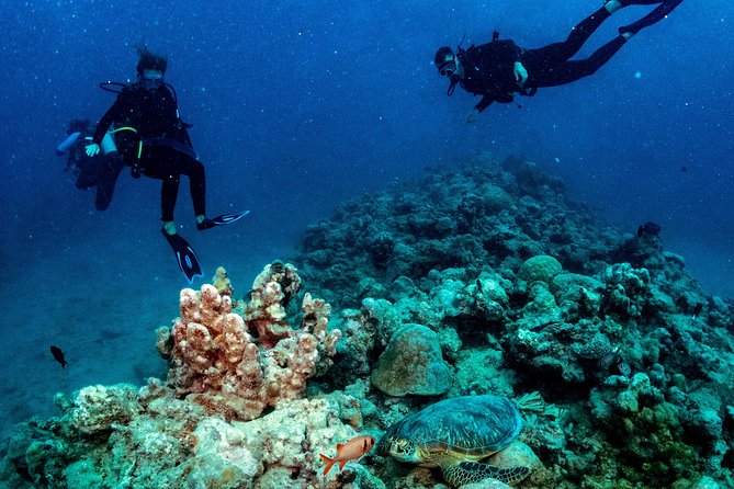 Exploration Dives for Experienced Divers - Good To Know