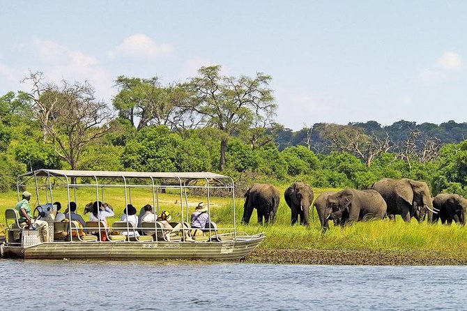 Explore Chobe National Park With a Day Trip From Victoria Falls - Good To Know