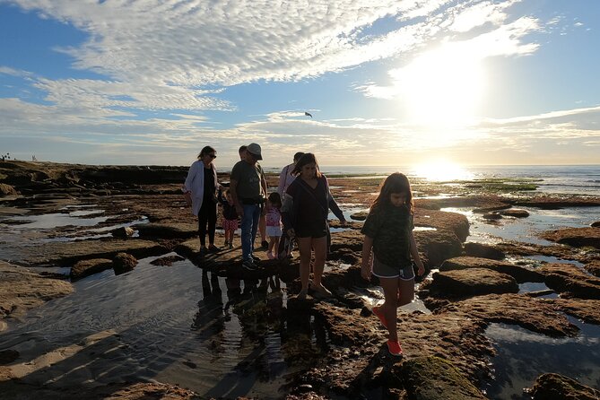 Explore San Diego Tide Pools With a Marine Biologist - Good To Know