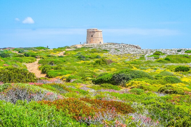 Explore the East Coast of Menorca: Hiking and Visiting Vineyards - Tour Overview and Highlights