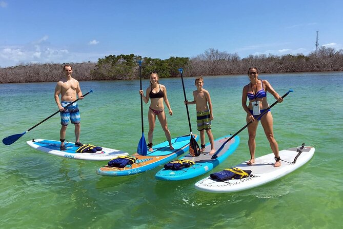 Explore the Mangrove Creeks With an ALL Day Tandem Kayak Rental - Good To Know