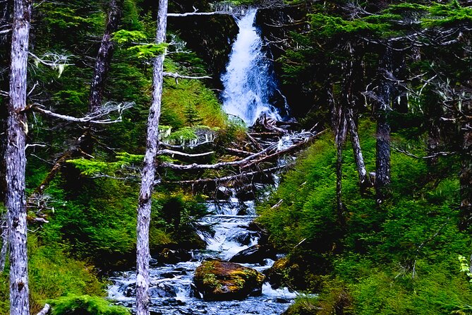 Exquisite Wildlife & Wilderness Photo Tour Anchorage -Whittier - Expert Photography Guide
