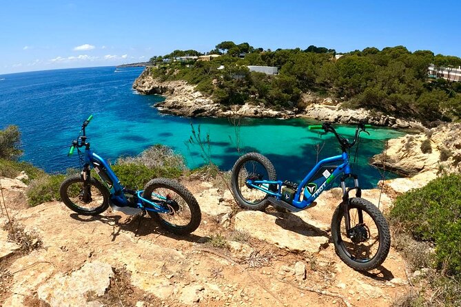 Extreme E-Scooter Off-Road Excursions Review - Key Points
