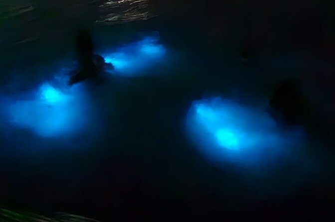 Falmouth Bioluminous Lagoon Night Tour With Boat Ride and Swim - Good To Know