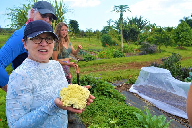 Farm to Table Cooking Class at Kulaniapia Falls - Good To Know