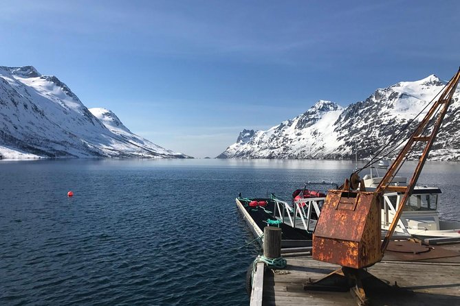 Fjord Sightseeing - Eco Friendly Tesla Model X - Good To Know