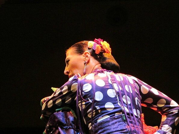 Flamenco Show "Museum of Flamenco Dance" - Good To Know