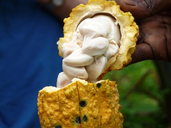 Flavors of Grenada - Good To Know