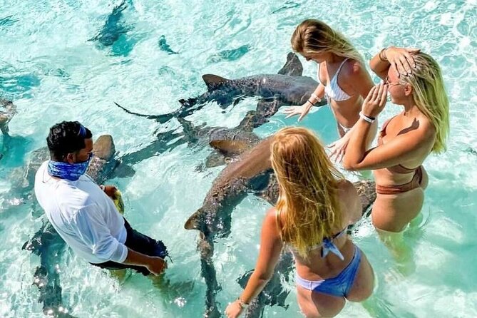 Fly To The Exuma Swimming Pigs - Overview of the Tour