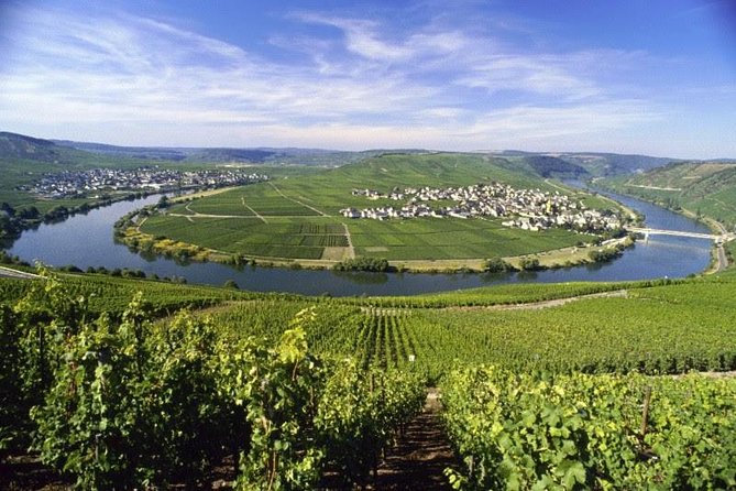For the Love of Riesling - Mosel Wine Tour - Good To Know