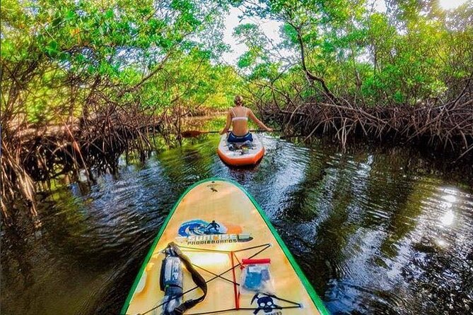 Fort Lauderdale Bonnet House Ground and Guided Paddle Board Kayak - Good To Know