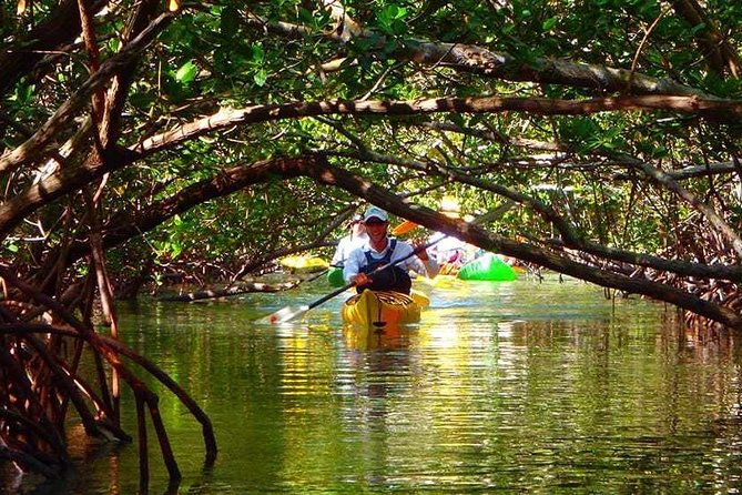 Fort Lauderdale's Tropical Kayak Tour and Island Adventure - Good To Know