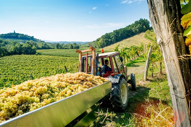 Franciacorta Winery Experience Review - Key Points