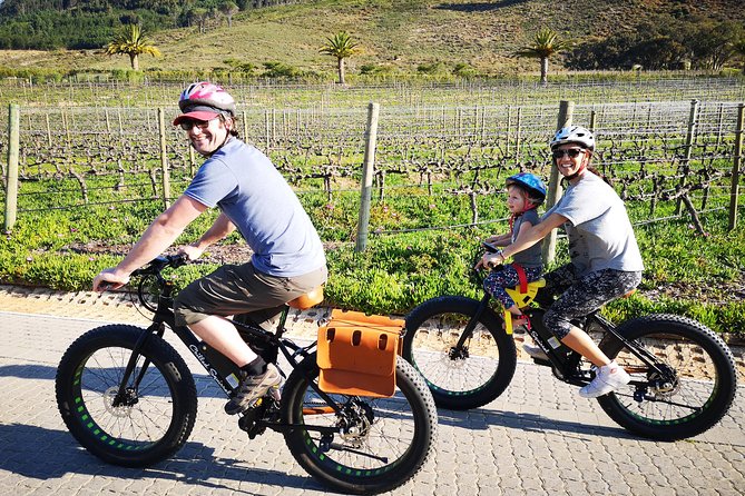 Franschhoek E-Bike Wine Tour (Half Day) - Good To Know
