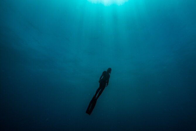 Freediving at Museum Atlantico - Inquiries and Assistance