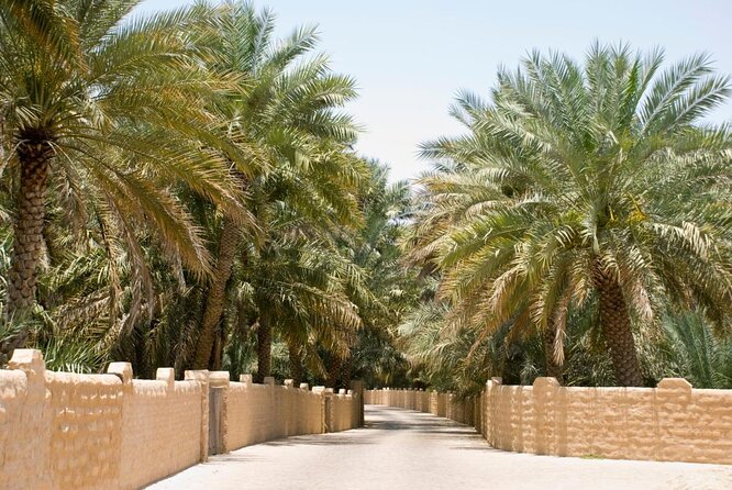 From Abu Dhabi Hotels : Private Al Ain Full-Day With Car and Driver - Key Points