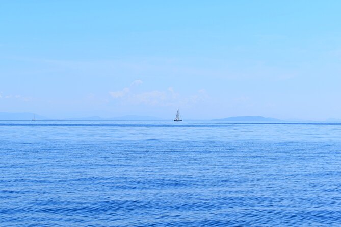 From Agia Efimia: All Inclusive Sailing Day Tour to Ithaca - Good To Know