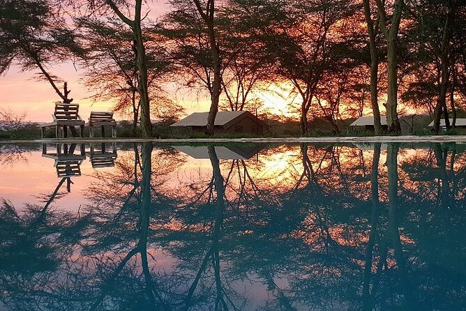 From Arusha: 11 Days Famous Serengeti Inside Out Safari Trip - Tour Overview