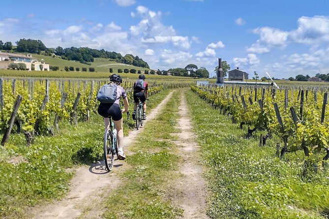From Bordeaux to Saint-Emilion by E-Bike: Lunch & Wine Tasting - Questions and Inquiries