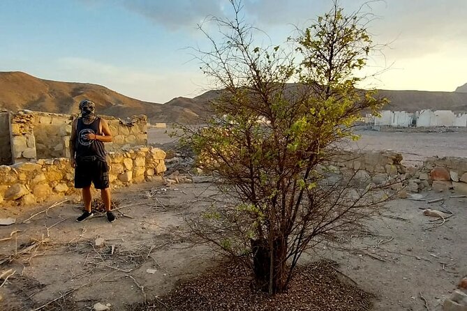 From Hurghada to Luxor Privat Vip Day Tour Luxor All Inclusive - Tour Highlights