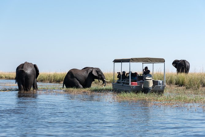 From Livingstone, Victoria Falls or Kasane - Chobe Day Tour - Good To Know