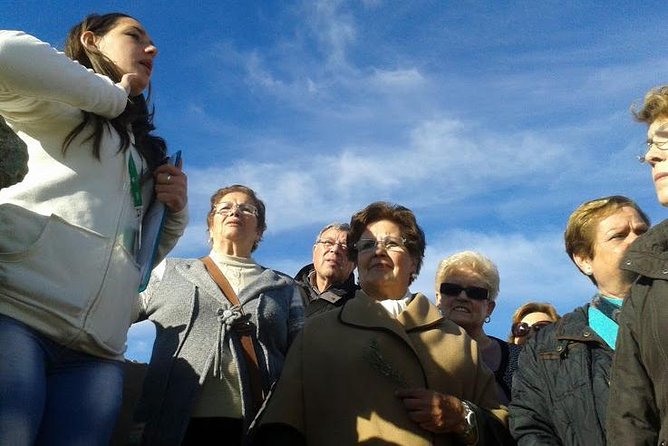 From Seville: Pig Farm Private Day Tour and Old Villages Visit - Tour Overview