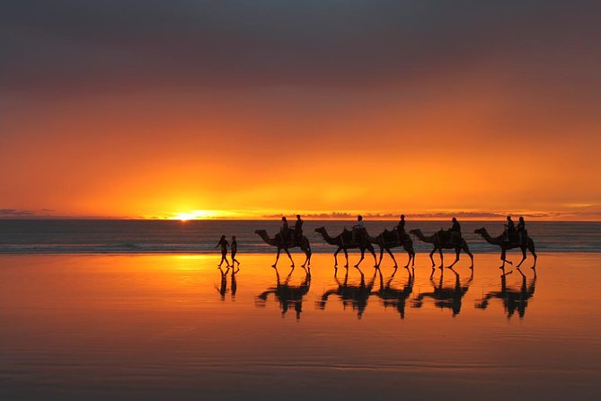 From Taghazoute : 2 Hours Agadir Camel Ride With Transfers and Tea Break - Key Points