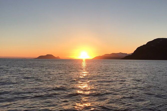 From Tromso All- Inclusive Midnight Sun Cruise by Boat - Key Points