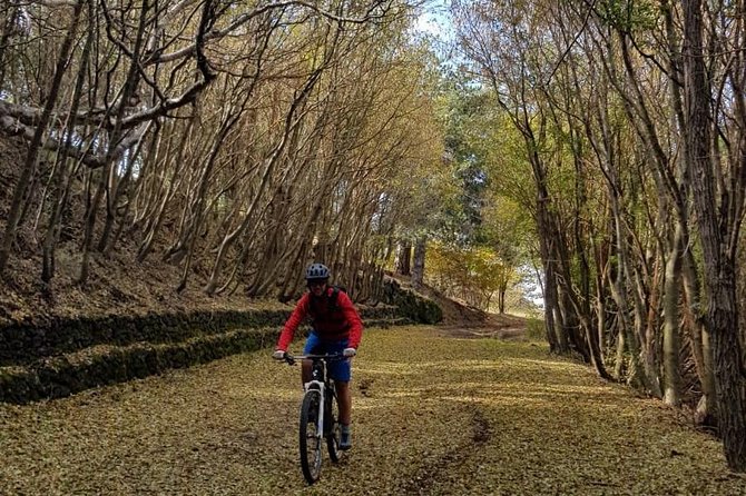 Full Circuit of Etna by MTB Small Group - Itinerary and Meeting Point