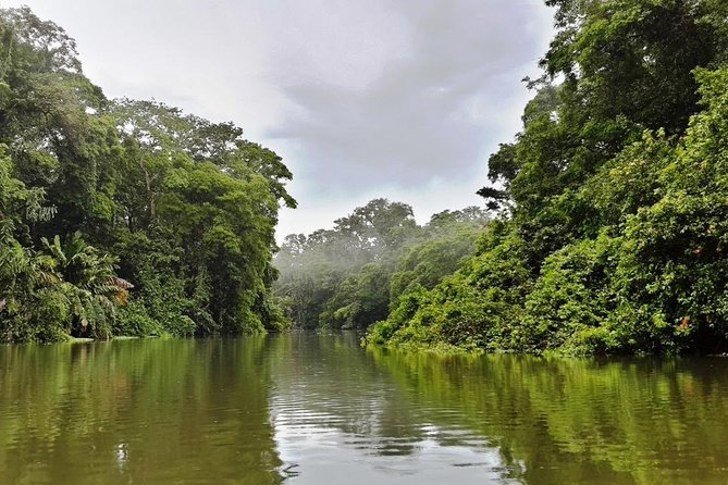 Full Day at Tortuguero Wild Life Observation at Caribbean Side All Inclusive - About Your Stay