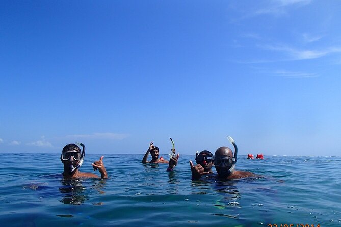 Full Day Cahuita Snorkel and Sloth Sanctuary From Puerto Viejo De Limón - Good To Know