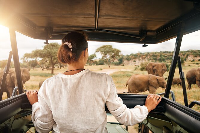 Full Day Exquisite Pilanesberg Safari From Johannesburg - Good To Know