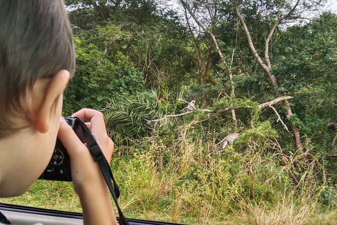 Full-Day Family Hluhluwe Imfolozi Park Safari Experience - Good To Know