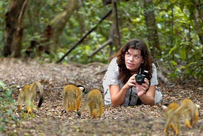 Full-Day Garden Route Safari From Port Elizabeth - Overview of the Safari Experience
