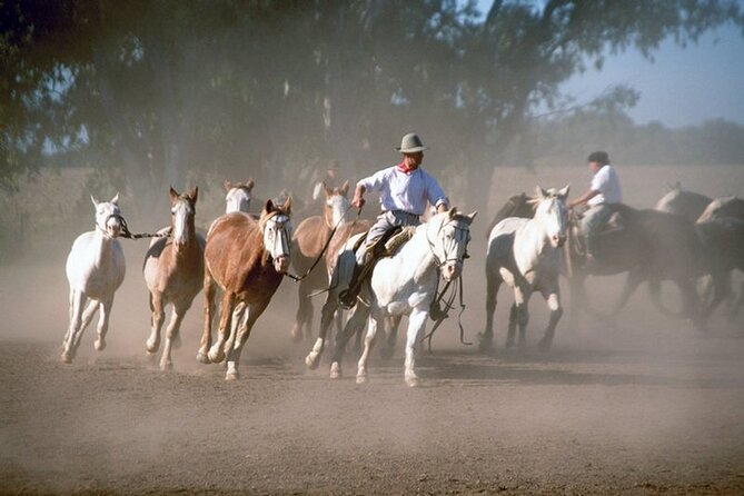 Full Day Gaucho Festival (From Buenos Aires) - About Your Stay