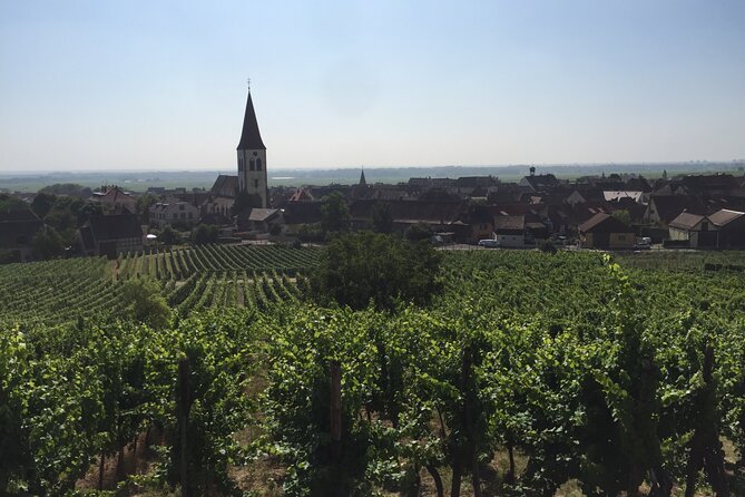 Full Day Grape Escape to Alsace Wine Route via Strassbourg - Tour Highlights
