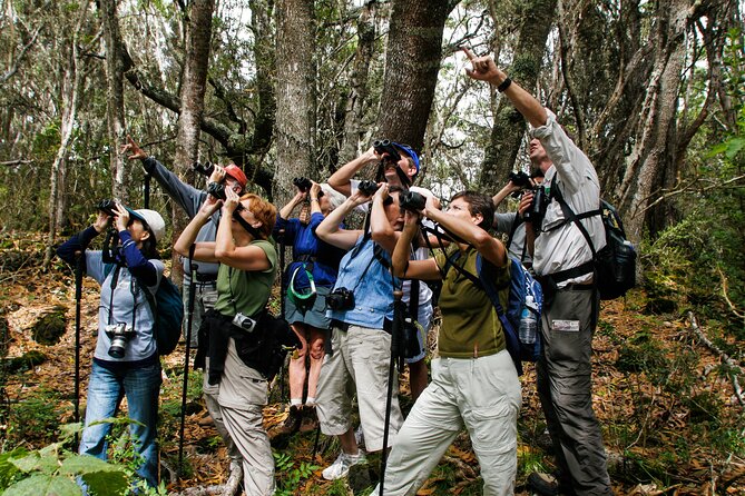 Full-Day Hakalau Forest Reserve Bird Watching Adventure - Good To Know
