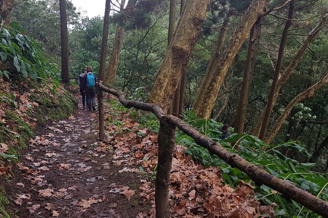 Full Day Hiking Trail Waterfalls - in Lomba De São Pedro - Azores - Good To Know