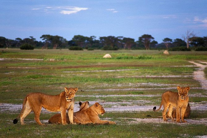Full Day Hwange Day Trip - Good To Know
