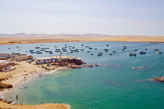 Full Day in Paracas and Huacachina From Lima All Included - Good To Know