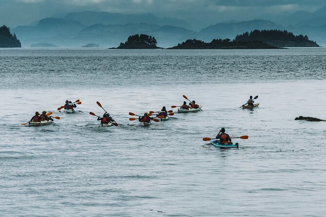 Full Day Kayaking Adventure on Vancouver Island - Good To Know