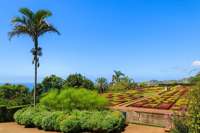 Full Day Madeira Island Private Discovery by Tuk Tuk - Key Points