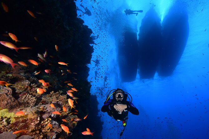 Full Day on Boat With 2 Dives in the Marine Parks of Sharm - Good To Know