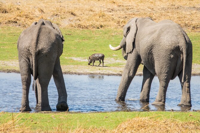 Full Day Private Pilanesberg Open Vehicle Safari - Key Points