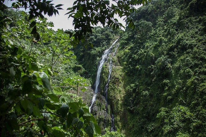 Full-Day Private Tour in Miches and La Jarda Waterfall Experience - Good To Know