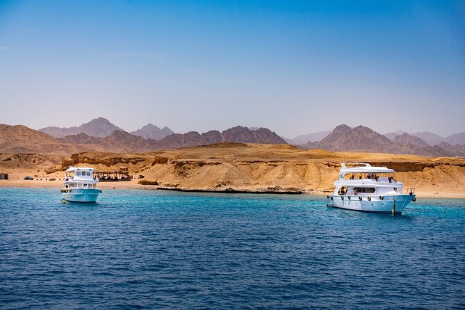 Full Day Ras Mohamed by Boat - Key Points
