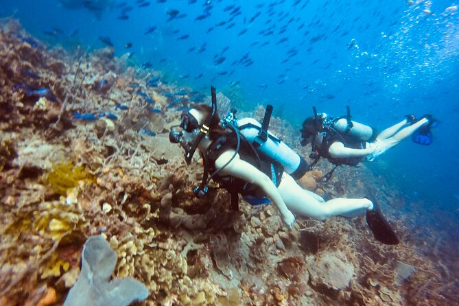 Full Day Scuba Diving in Rosario Islands - Preparing for the Scuba Diving Adventure