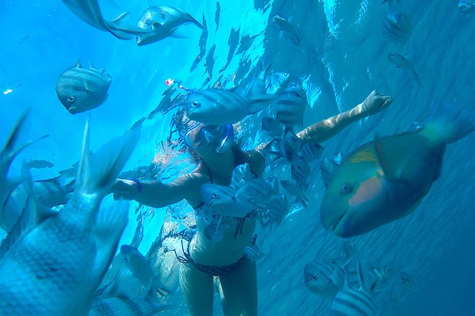 Full-Day Snorkeling With Dolphins in Hurghada With Lunch - Good To Know