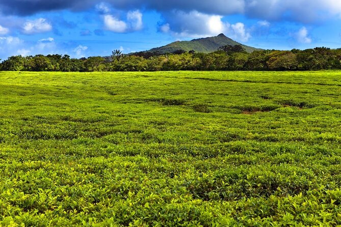 Full-Day South Tour of Mauritius, ALL INCLUSIVE Day Trip, Private SUV Car, Guide - Good To Know