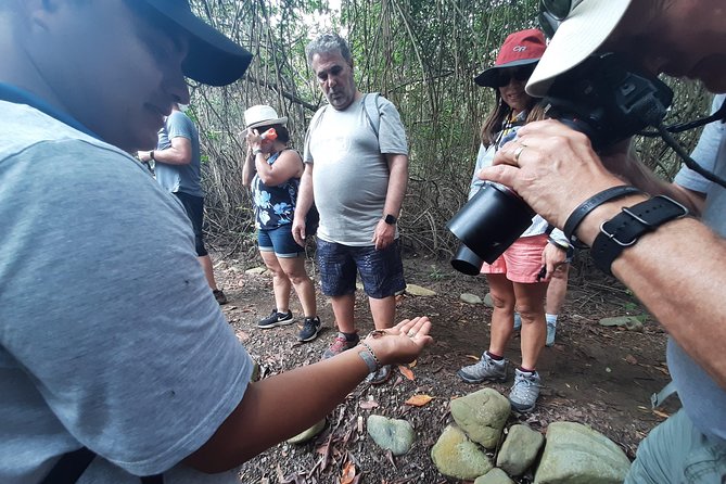 Full Day to Ecological Reserve Churute Mangrove - About Your Stay